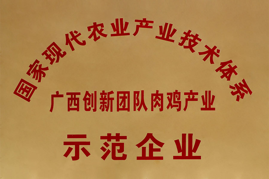 國家現代農業產業技術體系-廣西創新團隊肉雞產業示范企業